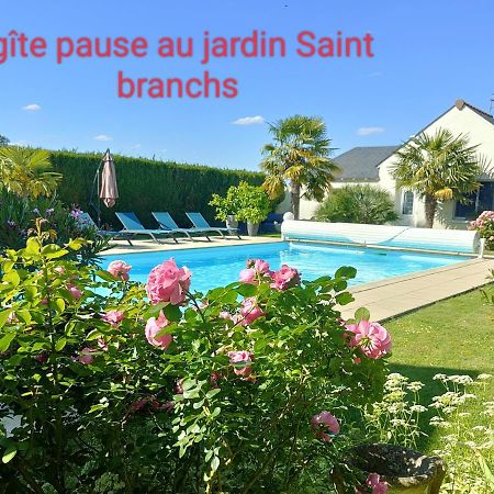 Gite Pause Au Jardin Piscine Chauffee Saint-Branchs Exterior foto
