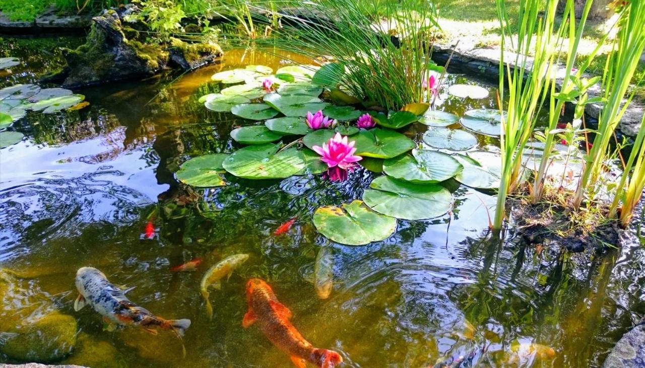 Gite Pause Au Jardin Piscine Chauffee Saint-Branchs Exterior foto